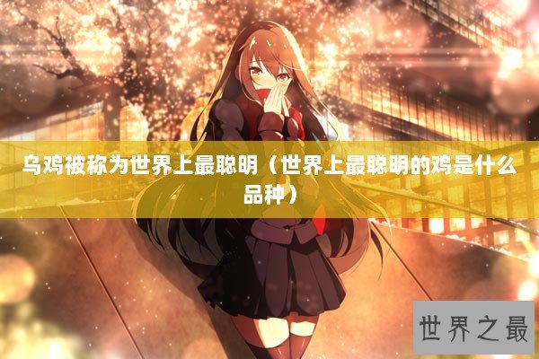 乌鸡被称为世界上最聪明（世界上最聪明的鸡是什么品种）