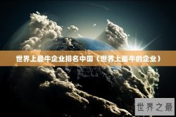世界上最牛企业排名中国（世界上最牛的企业）