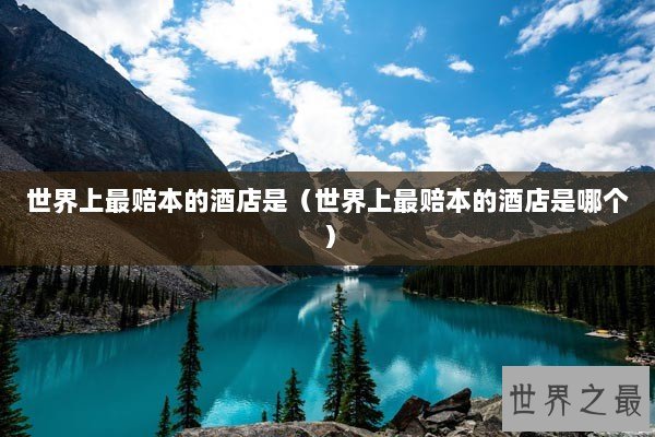 世界上最赔本的酒店是（世界上最赔本的酒店是哪个）