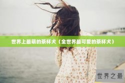 世界上最萌的茶杯犬（全世界最可爱的茶杯犬）