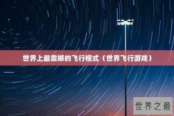 世界上最震撼的飞行模式（世界飞行游戏）