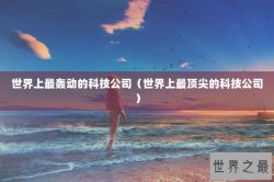 世界上最轰动的科技公司（世界上最顶尖的科技公司）