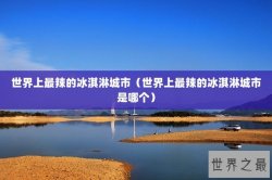 世界上最辣的冰淇淋城市（世界上最辣的冰淇淋城市是哪个）