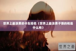 世界上最浪费的卡车排名（世界上最浪费子弹的枪是什么枪）