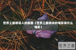 世界上最感动人的画面（世界上最感动的电影是什么电影）