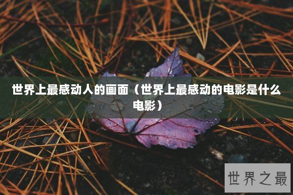 世界上最感动人的画面(世界上最感动的电影是什么电影) 世界上最感动人的画面(世界上最感动的电影是什么电影)