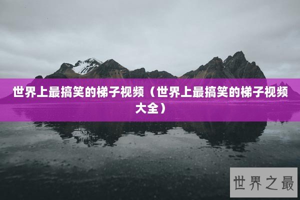 世界上最搞笑的梯子视频（世界上最搞笑的梯子视频大全）