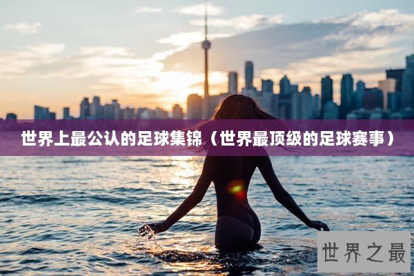世界上最公认的足球集锦（世界最顶级的足球赛事）