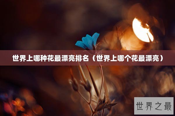 世界上哪种花最漂亮排名（世界上哪个花最漂亮）
