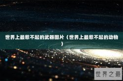 世界上最惹不起的武器图片（世界上最惹不起的动物）