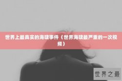 世界上最真实的海啸事件（世界海啸最严重的一次视频）