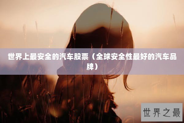 世界上最安全的汽车股票（全球安全性最好的汽车品牌）