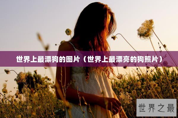 世界上最漂狗的图片（世界上最漂亮的狗照片）