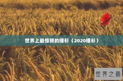 世界上最惊艳的撞衫（2020撞衫）