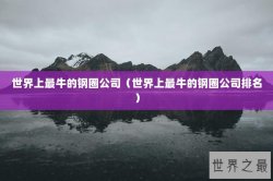 世界上最牛的钢圈公司（世界上最牛的钢圈公司排名）