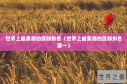 世界上最委屈的武器排名（世界上最委屈的武器排名第一）