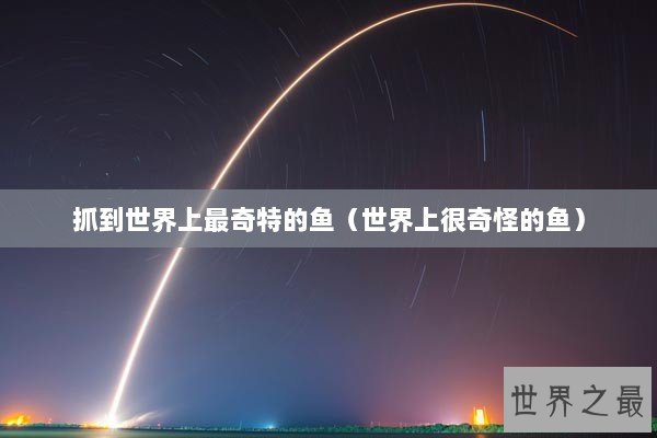 抓到世界上最奇特的鱼（世界上很奇怪的鱼）