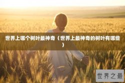 世界上哪个树叶最神奇（世界上最神奇的树叶有哪些）