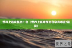 世界上最奇怪的厂名（世界上最奇怪的名字有哪些?请问）