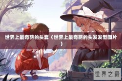 世界上最奇葩的头套（世界上最奇葩的头发发型图片）