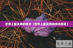 世界上最实用的技术（世界上最实用的技术排名）