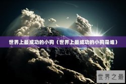 世界上最成功的小狗（世界上最成功的小狗是谁）