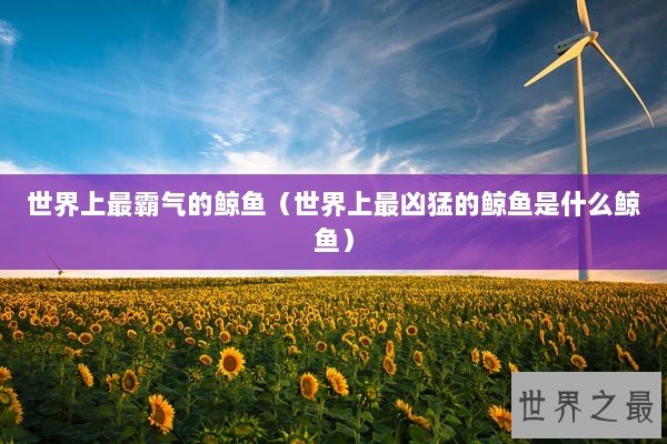 世界上最霸气的鲸鱼（世界上最凶猛的鲸鱼是什么鲸鱼）