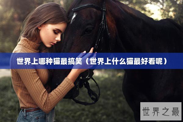 世界上哪种猫最搞笑（世界上什么猫最好看呢）