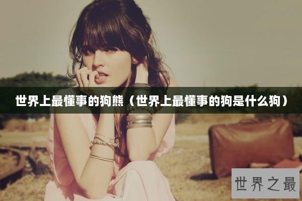 世界上最懂事的狗熊（世界上最懂事的狗是什么狗）