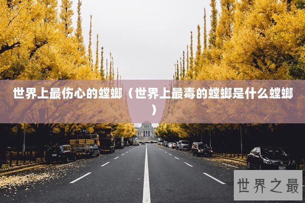 世界上最伤心的螳螂(世界上最毒的螳螂是什么螳螂) 世界上最伤心的螳螂(世界上最毒的螳螂是什么螳螂)