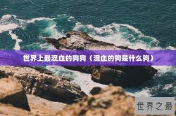 世界上最混血的狗狗（混血的狗是什么狗）