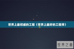世界上最权威的工程（世界上最好的工程师）