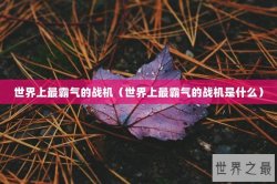 世界上最霸气的战机（世界上最霸气的战机是什么）