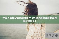 世界上最复杂最壮观的图片（世界上最复杂最壮观的图片是什么）