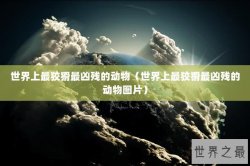 世界上最狡猾最凶残的动物（世界上最狡猾最凶残的动物图片）