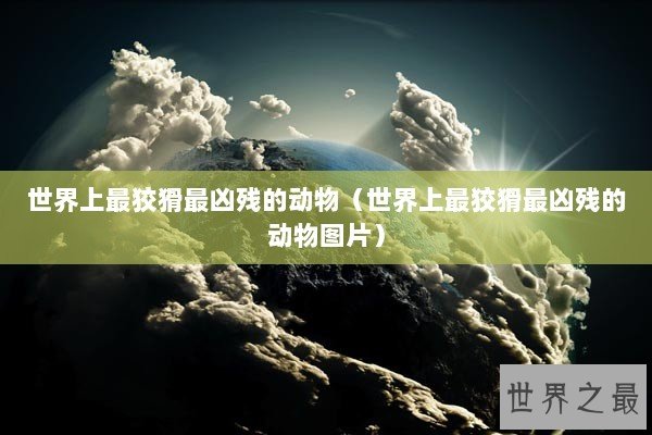 世界上最狡猾最凶残的动物（世界上最狡猾最凶残的动物图片）