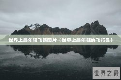 世界上最年轻飞镖图片（世界上最年轻的飞行员）