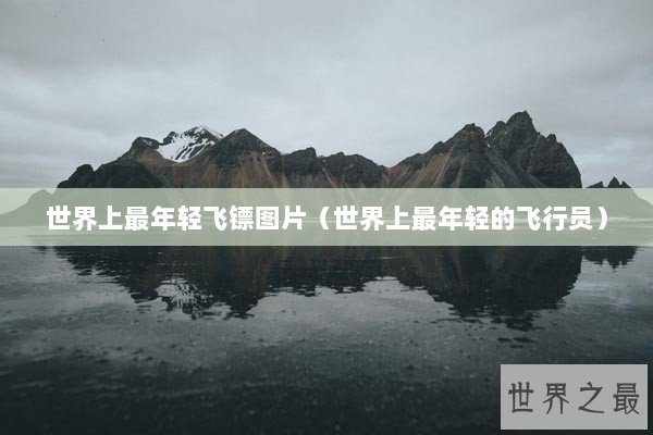 世界上最年轻飞镖图片（世界上最年轻的飞行员）