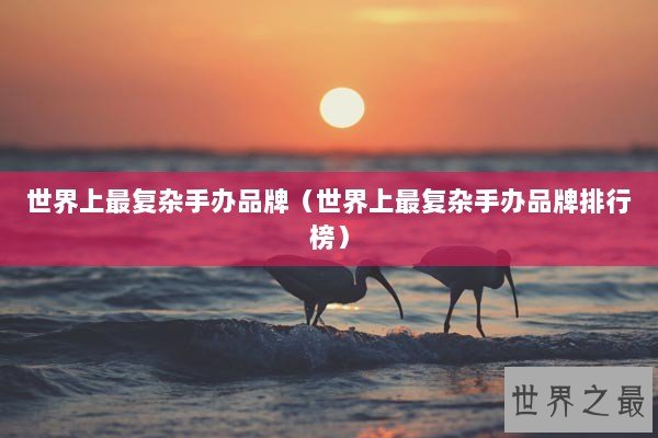 世界上最复杂手办品牌（世界上最复杂手办品牌排行榜）