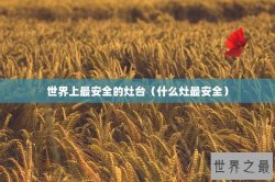 世界上最安全的灶台（什么灶最安全）