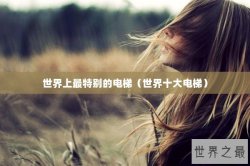 世界上最特别的电梯（世界十大电梯）