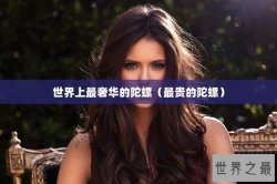 世界上最奢华的陀螺（最贵的陀螺）