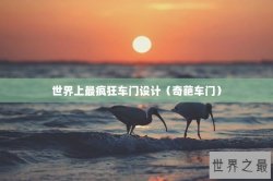 世界上最疯狂车门设计（奇葩车门）