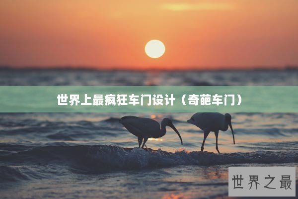 世界上最疯狂车门设计（奇葩车门）