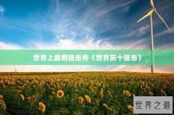 世界上最燃狙击秀（世界前十狙击）