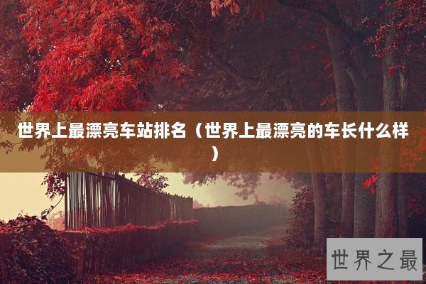 世界上最漂亮车站排名（世界上最漂亮的车长什么样）