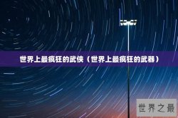 世界上最疯狂的武侠（世界上最疯狂的武器）