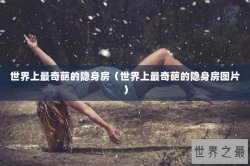 世界上最奇葩的隐身房（世界上最奇葩的隐身房图片）