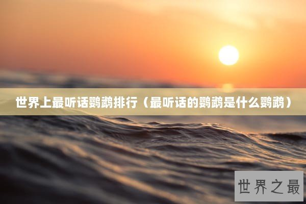 世界上最听话鹦鹉排行（最听话的鹦鹉是什么鹦鹉）