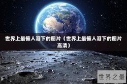 世界上最催人泪下的图片（世界上最催人泪下的图片高清）